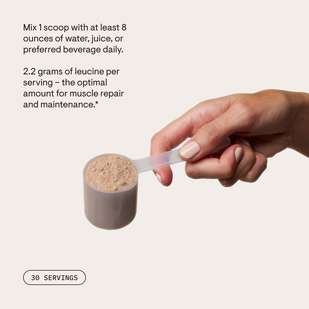 Scoop of chocolate whey protein powder beside mixing instructions