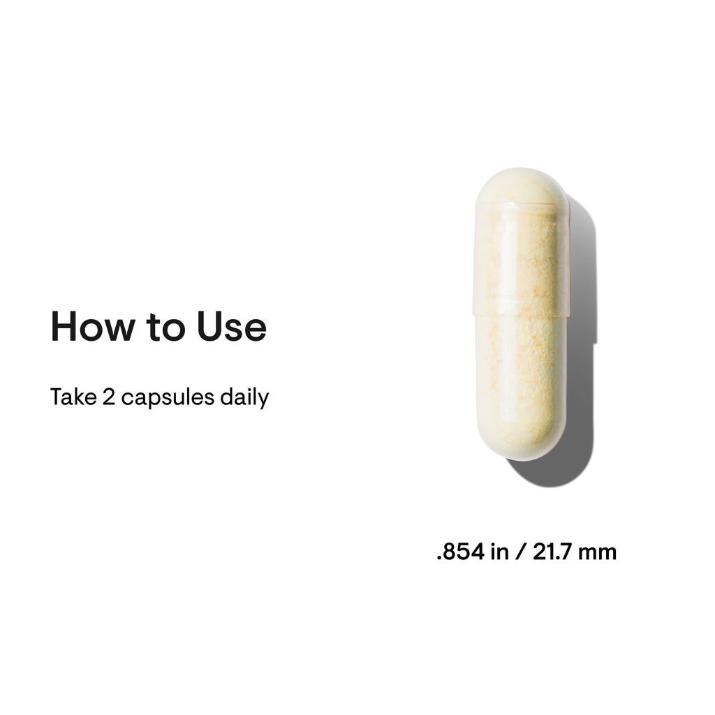 Basic Nutrients 2/Day capsule with size and usage instructions
