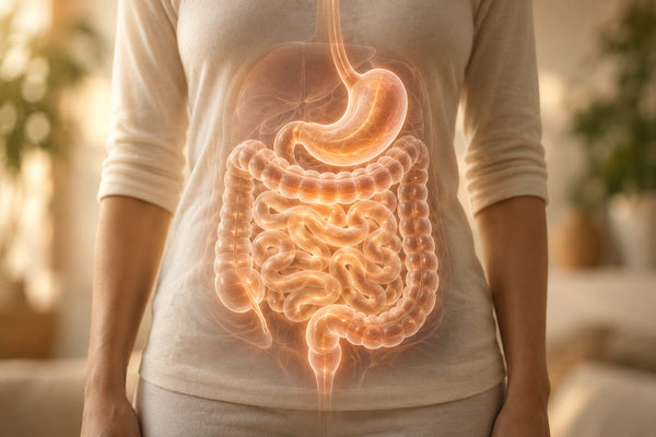 Conceptual illustration of the stomach and intestines illuminated over a softly focused person’s torso